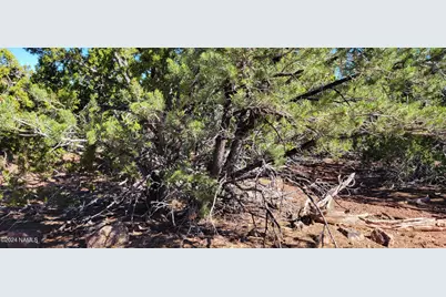 2394 E Fir Street, Williams, AZ 86046 - Photo 8