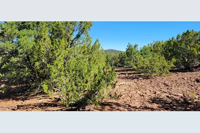 2394 E Fir Street, Williams, AZ 86046 - Photo 4