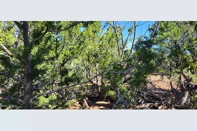 2394 E Fir Street, Williams, AZ 86046 - Photo 10