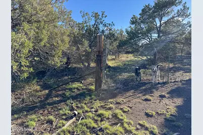 7354 N Apache Avenue, Williams, AZ 86046 - Photo 16