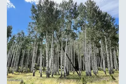 15900 Forest Service 900 1K Road NE, Flagstaff, AZ 86001 - Photo 30