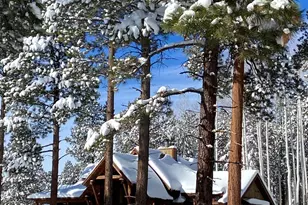 15900 Forest Service 900 1K Road NE, Flagstaff, AZ 86001 - Photo 18