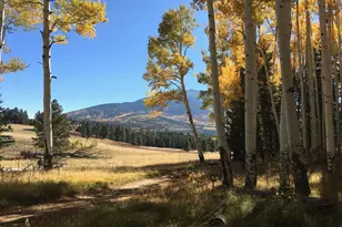 000 Forest Service 900 1K Road NE, Flagstaff, AZ 86001 - Photo 6