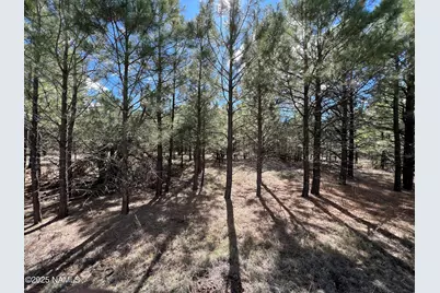 11322 E Park Lane, Parks, AZ 86018 - Photo 8