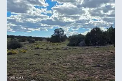 6154 Fire Sky Trl Lot D, Williams, AZ 86046 - Photo 8
