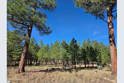 2522 Pinon Circle, Happy Jack, AZ 86024 - Photo 1