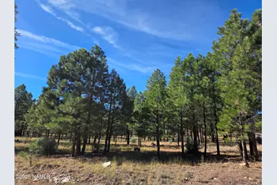 2522 Pinon Circle, Happy Jack, AZ 86024 - Photo 4