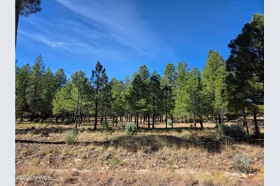 2522 Pinon Circle, Happy Jack, AZ 86024 - Photo 2