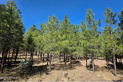 2522 Pinon Circle, Happy Jack, AZ 86024 - Photo 10