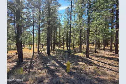 2522 Pinon Circle, Happy Jack, AZ 86024 - Photo 6