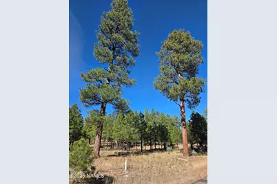 2522 Pinon Circle, Happy Jack, AZ 86024 - Photo 14
