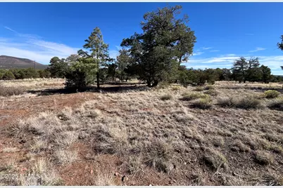 7065 Tulip Trail, Williams, AZ 86046 - Photo 12