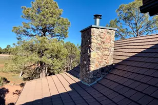 2761 Apollo Cir, Heber-Overgaard, AZ 85933 - Photo 42