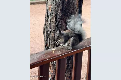 2761 Apollo Circle, Heber-Overgaard, AZ 85933 - Photo 50