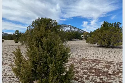7378 Tulip Trail, Williams, AZ 86046 - Photo 4