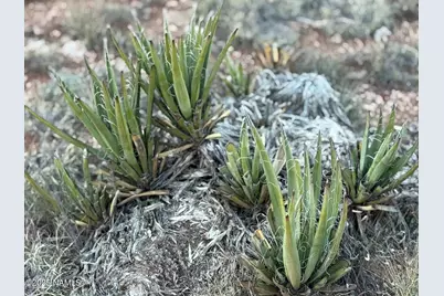 4813 E Woodland Rnch Road, Williams, AZ 86046 - Photo 4