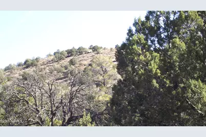 803 E Pawpaw Lane, Williams, AZ 86046 - Photo 8