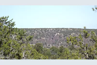 803 E Pawpaw Lane, Williams, AZ 86046 - Photo 4