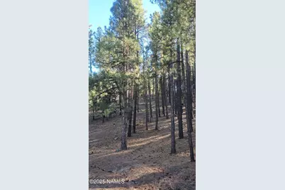 1035,1037 Timbernook Crossing, Williams, AZ 86046 - Photo 6