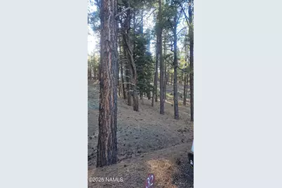 1035,1037 Timbernook Crossing, Williams, AZ 86046 - Photo 14