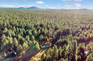 3628 E Pine Cone Dr, Williams, AZ 86046 - Photo 20