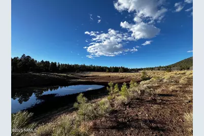 475 N Double A Ranch Road, Williams, AZ 86046 - Photo 8