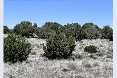 3240 S Sycamore Road, Williams, AZ 86046 - Photo 4