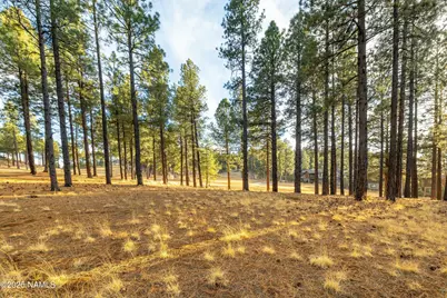 4105 W Tack Room, Flagstaff, AZ 86005 - Photo 20