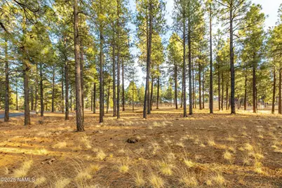 4105 W Tack Room, Flagstaff, AZ 86005 - Photo 22