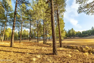 4105 W Tack Room, Flagstaff, AZ 86005 - Photo 4