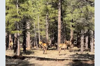 Lot 3L N Quintana Drive, Flagstaff, AZ 86001 - Photo 10