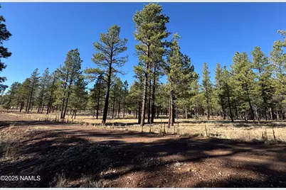 Lot 3L N Quintana Drive, Flagstaff, AZ 86001 - Photo 2