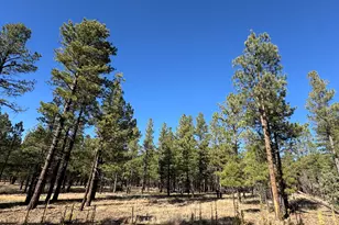 Lot 3L N Quintana Dr, Flagstaff, AZ 86001 - Photo 1