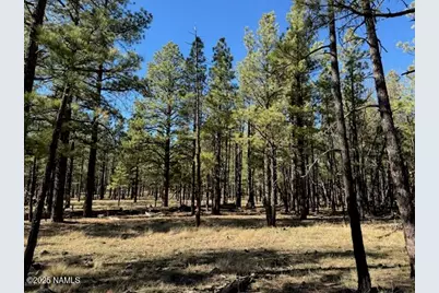 Lot 3L N Quintana Drive, Flagstaff, AZ 86001 - Photo 6