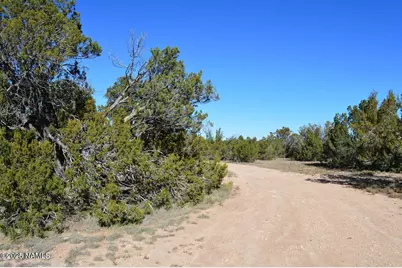 13887 Bly Station Rd B, Williams, AZ 86046 - Photo 12