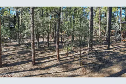 110 W Bradshaw Drive, Pine, AZ 85544 - Photo 8