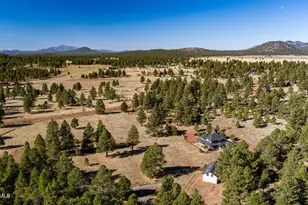 4540 Forrest Ranches Loop, Parks, AZ 86018 - Photo 58