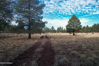 4540 Forrest Ranches Loop, Parks, AZ 86018 - Photo 6