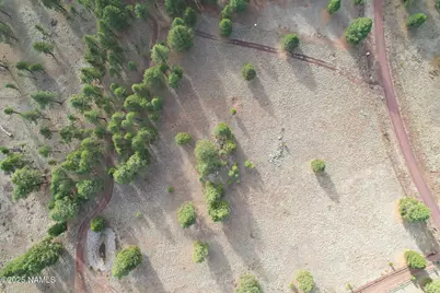 4540 Forrest Ranches Loop, Parks, AZ 86018 - Photo 14