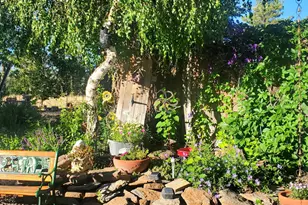 1220 E Caribou Rd, Munds Park, AZ 86017 - Photo 10