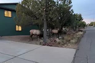 801 N Madison Dr, Payson, AZ 85541 - Photo 36