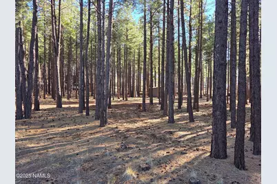 13398 E Fallow Deer Road, Parks, AZ 86018 - Photo 2