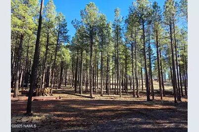 13398 E Fallow Deer Road, Parks, AZ 86018 - Photo 14