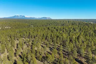 3153 Buffalo Trail, Flagstaff, AZ 86005 - Photo 56