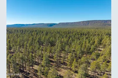 3153 Buffalo Trail, Flagstaff, AZ 86005 - Photo 54