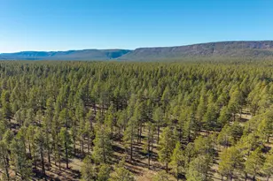 3153 Buffalo Trail, Flagstaff, AZ 86005 - Photo 54