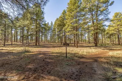 3153 Buffalo Trail, Flagstaff, AZ 86005 - Photo 42