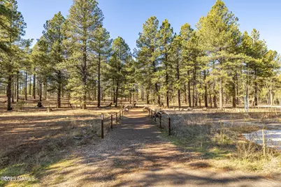 3153 Buffalo Trail, Flagstaff, AZ 86005 - Photo 40