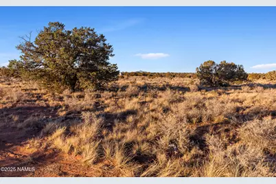 4449 E Cedar Road, Williams, AZ 86046 - Photo 2