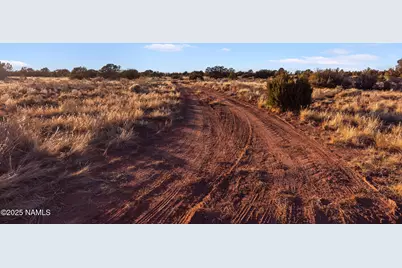 4449 E Cedar Road, Williams, AZ 86046 - Photo 10